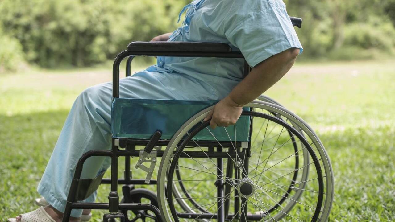 Pessoa de cadeira de rodas passeando em um jardim